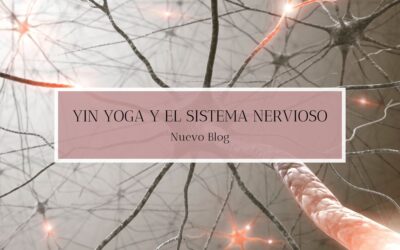 Yin Yoga y el sistema nervioso